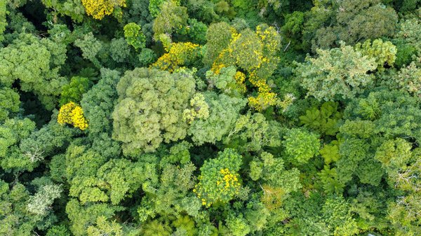 Voyage : découvrez des itinéraires pour chaque passion